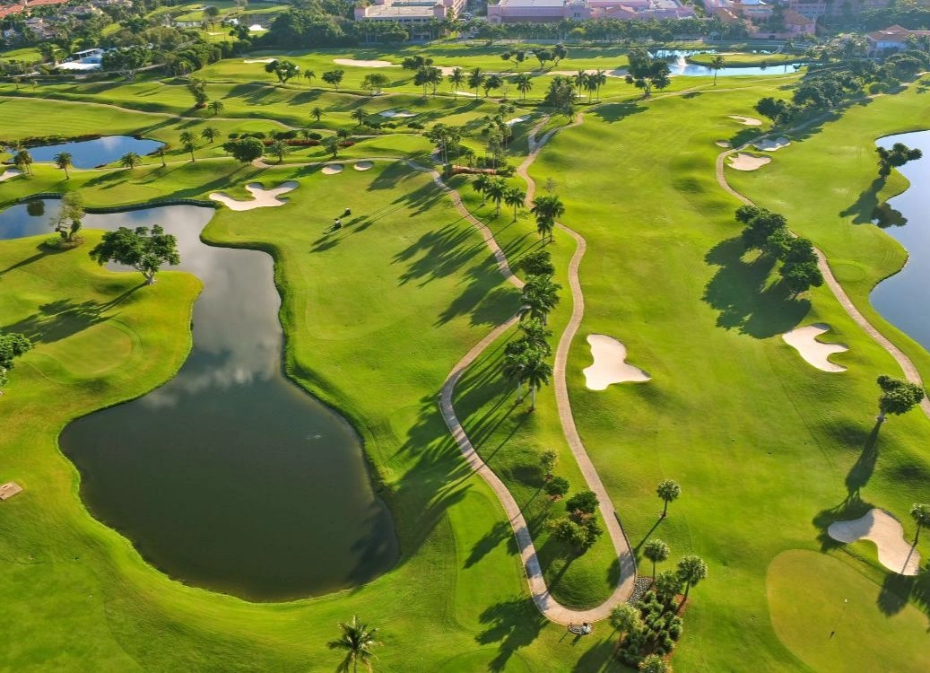 Jan 2021 Newsletter Golf Course Mediterra