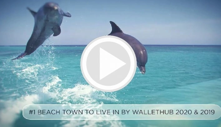 image-feb-2021-newsletter-dolphins-video-matt-brown-realtor-agent-naples-florida-real-estates-708x406px