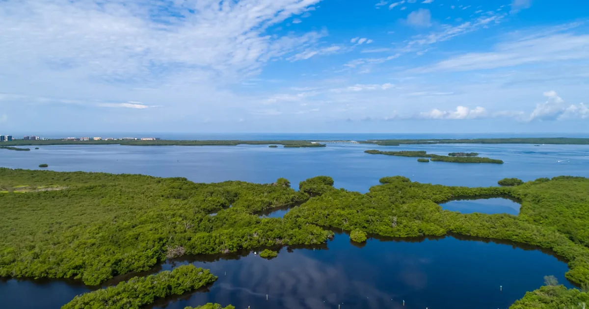 April 2021 Naples Real Estate Newsletter