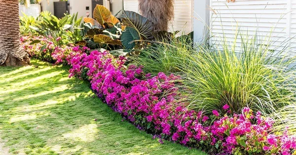 Pink Flowers Staged for Curb Appeal outside of Home for Sale