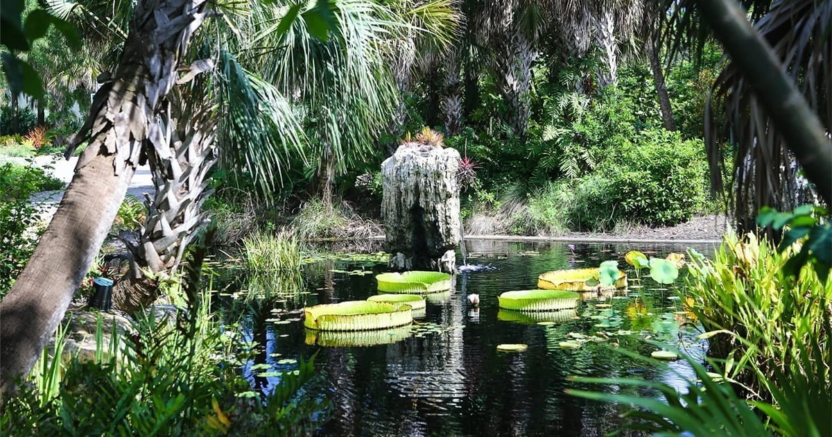 Pond at Naples Botanical Garden