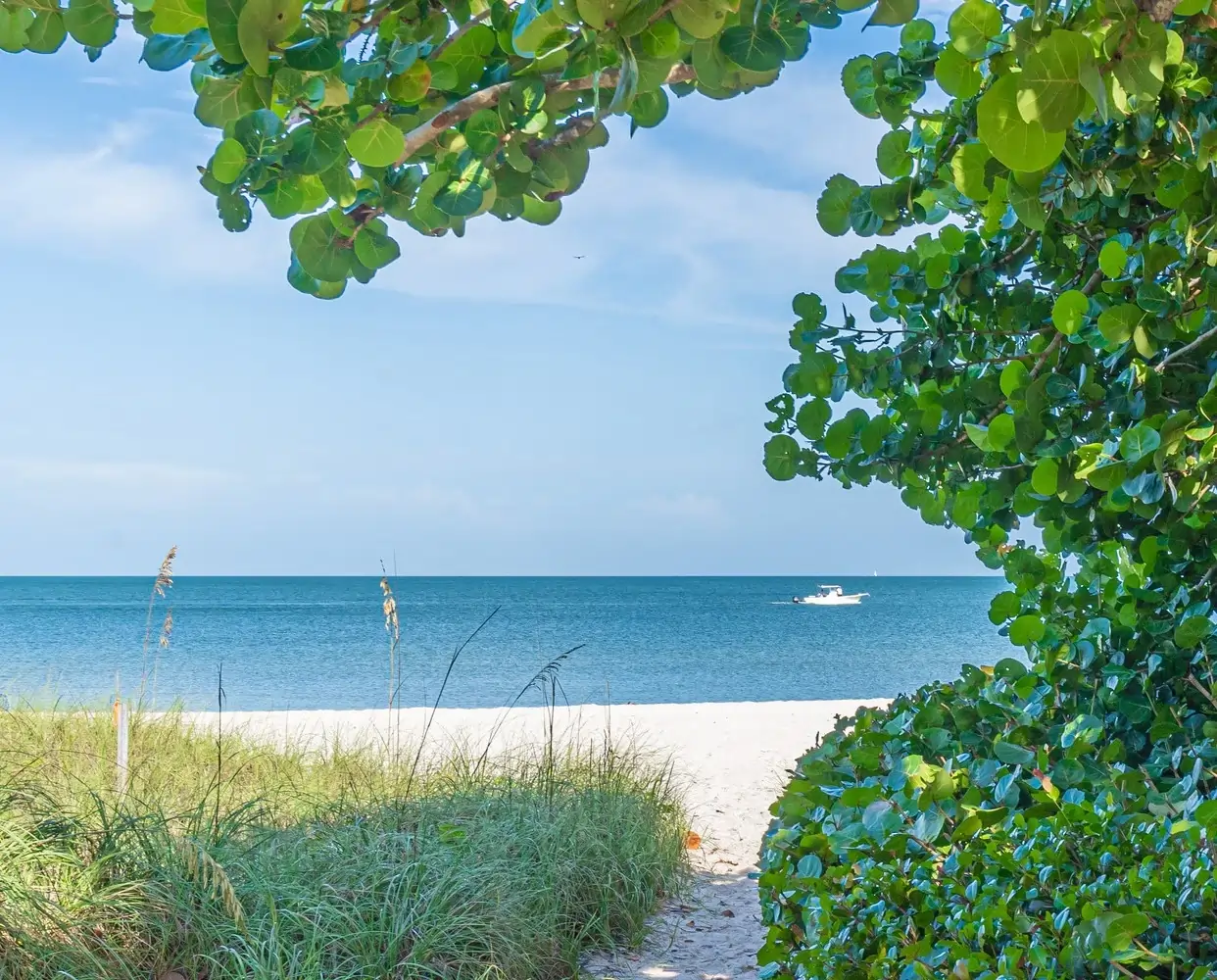 old naples beach access lindsey naples catalog 22 (1) (1) Old Naples, Naples, FL