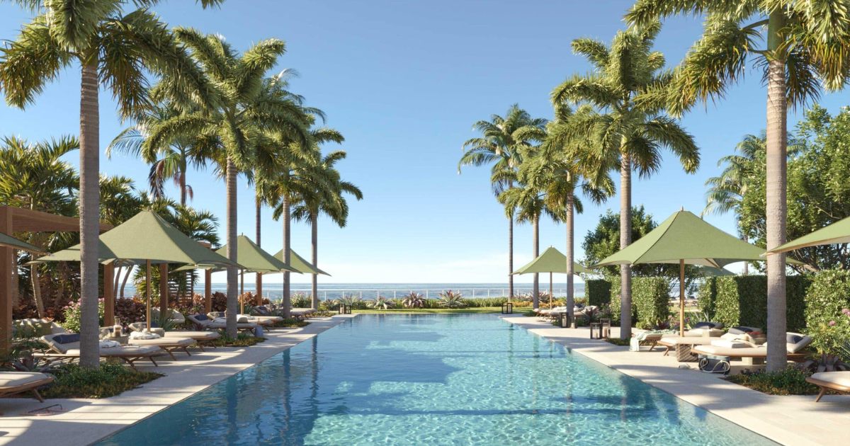 lindsey market report 8