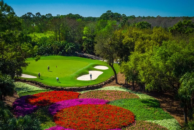 Quail West Putting Green Golf