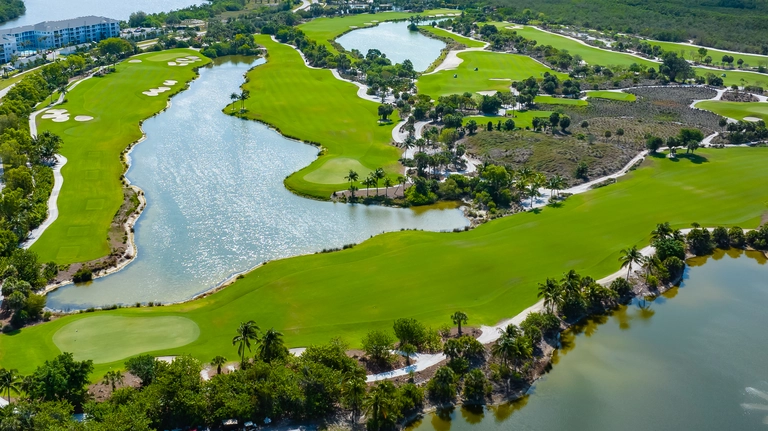 hammock bay gold course, naples, fl Hammock Bay Gold Course, Naples, FL
