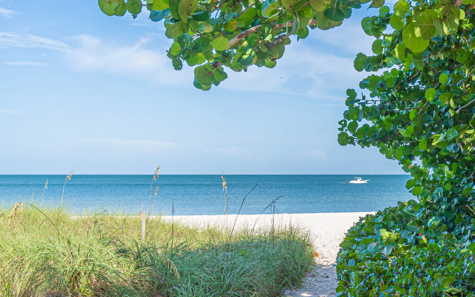 old naples, naples, fl image Old Naples, Naples, FL