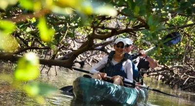 Rising Tide Explorers