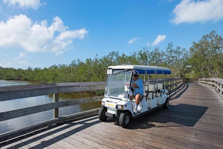 630 bridge way ln naples fl 34108 usa 036 038 pelican bay tram to beach clubs