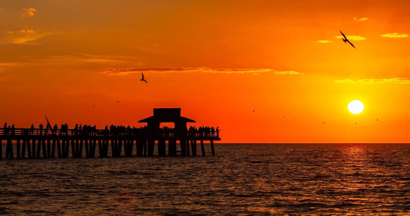 luxury properties fall 2025