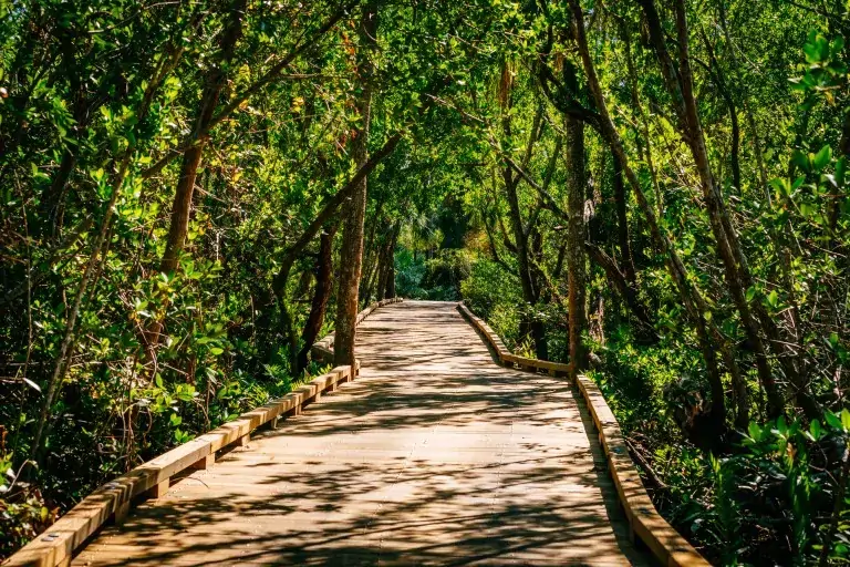 Collier's Reserve Bridge, Naples, FL