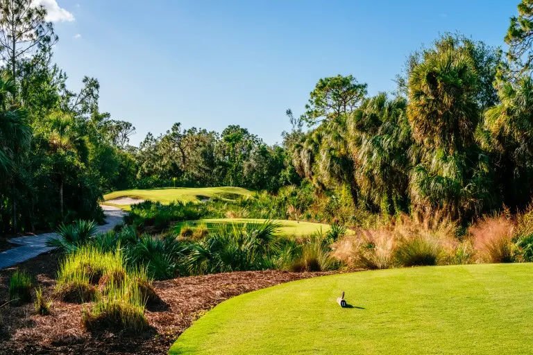 Collier's Reserve Golf Course, Naples, FL
