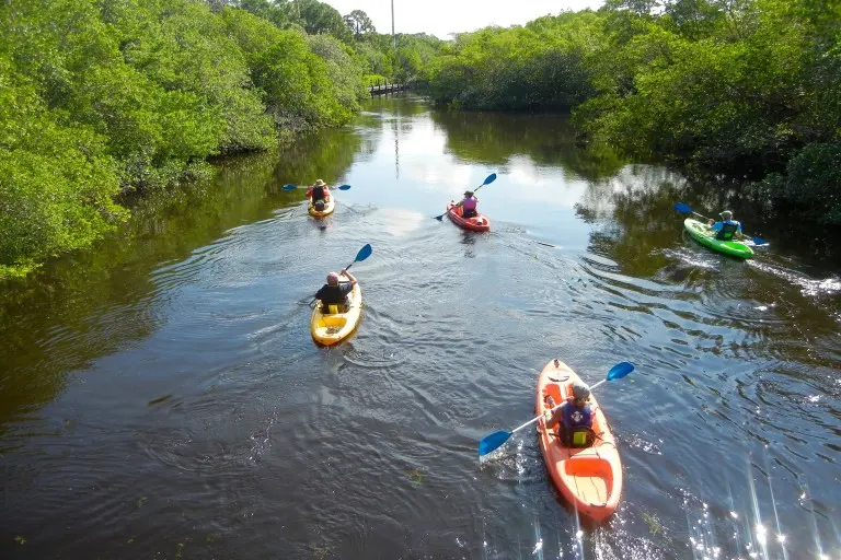 Collier's Reserve Kayaking, Naples, FL