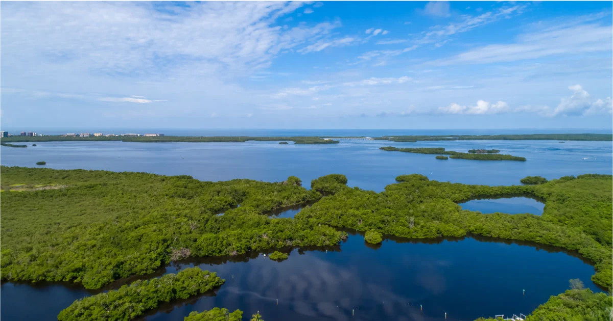 february 2023 naples real estate market report