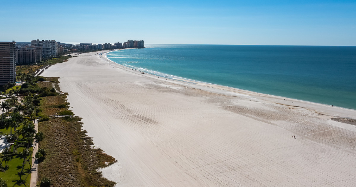 january 2025 nabor real estate market report