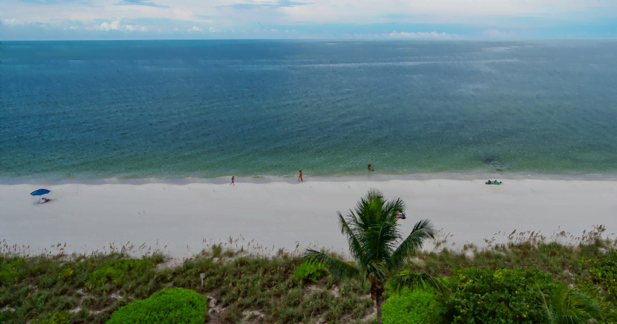 may 2023 newsletter naples & swfl real estate