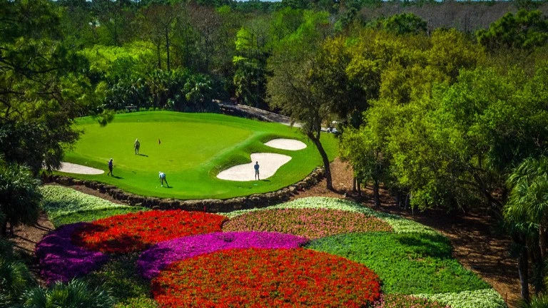 Aerial view of a Quail West golf green with landscaped flower beds in Naples, Florida