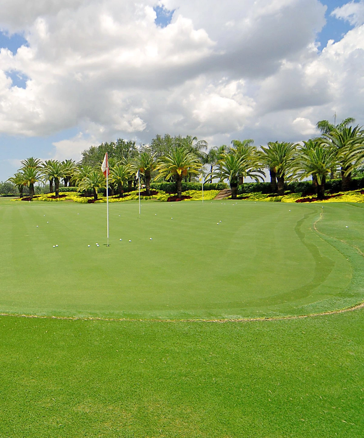 Practice putting green at Quail West Golf and Country Club in Naples, Florida