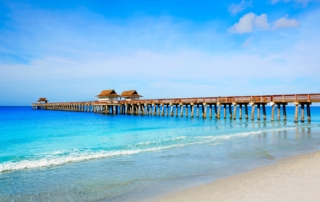 what are the key statistics for naples and collier county, florida (2)